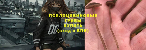 эйфоретик Новодвинск