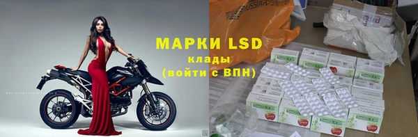 эйфоретик Новодвинск