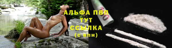 эйфоретик Новодвинск