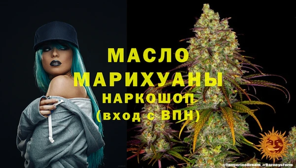 эйфоретик Новодвинск